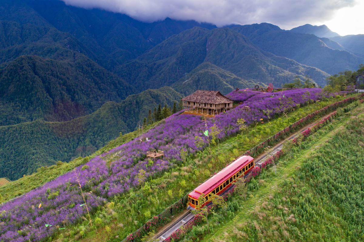 Muong Hoa Valley in Sapa during March